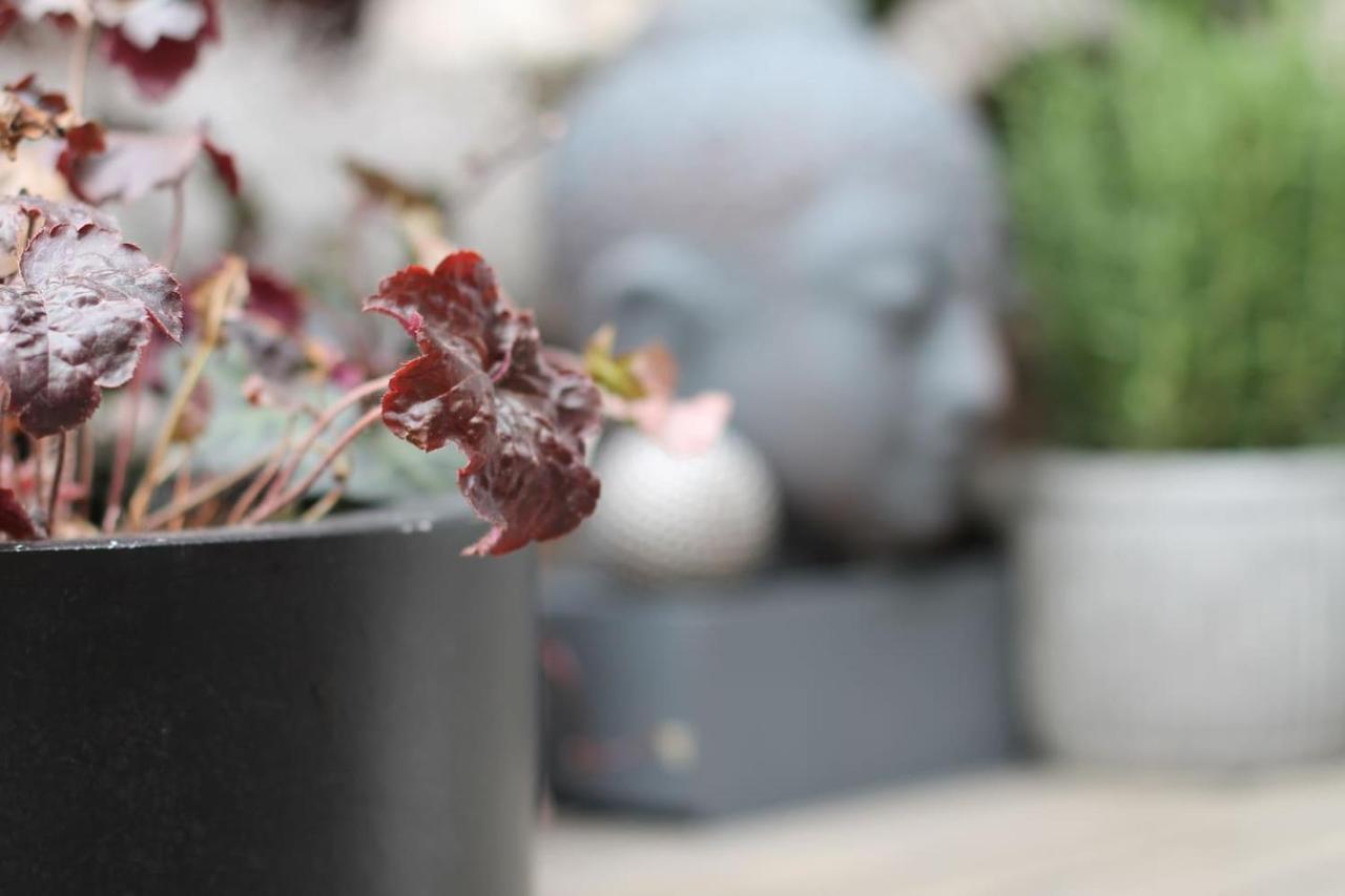 Exklusive Designferienwohnung The Backyard Tby 02 Τρίερ Εξωτερικό φωτογραφία